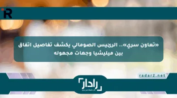 «تعاون سري».. الرئيس الصومالي يكشف تفاصيل اتفاق بين ميليشيا وجهات مجهولة